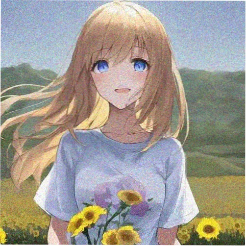 追剧小圆
